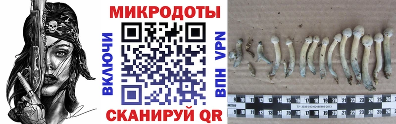 Купить закладки Бикин Галлюциногенные грибы ЛСД